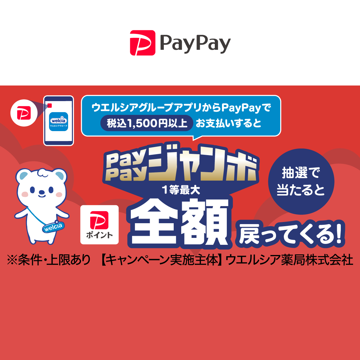 キャンペーン キャッシュレス決済のPayPay