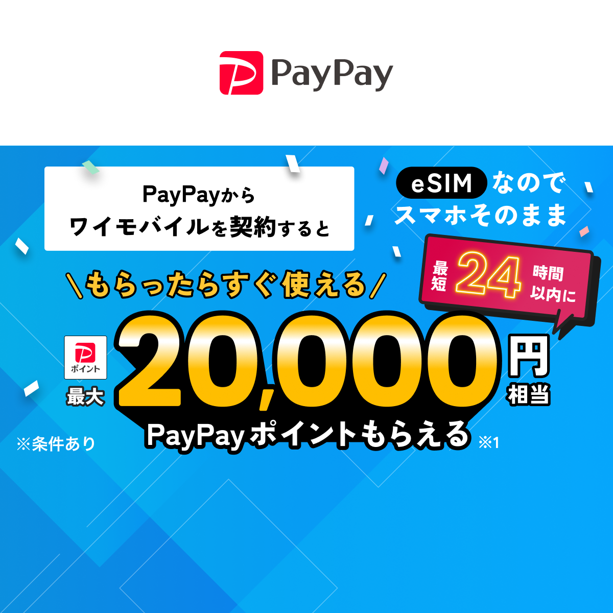 キャンペーン - キャッシュレス決済のPayPay