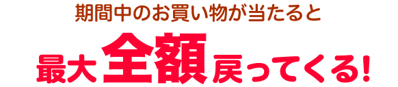 期間中のお買い物が当たると最大全額戻ってくる！