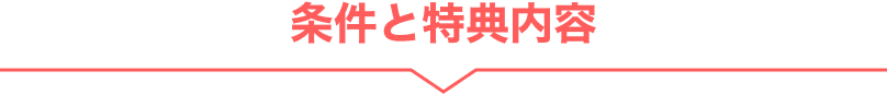 条件と特典内容