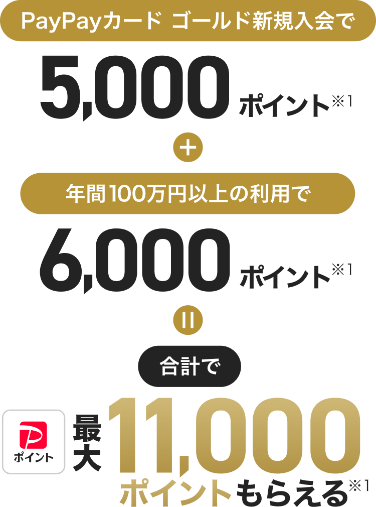 PayPayカード ゴールド新規入会で5,000ポイント※1＋年間100万円以上の利用で6,000ポイント※1＝合計で最大11,000ポイントもらえる※1