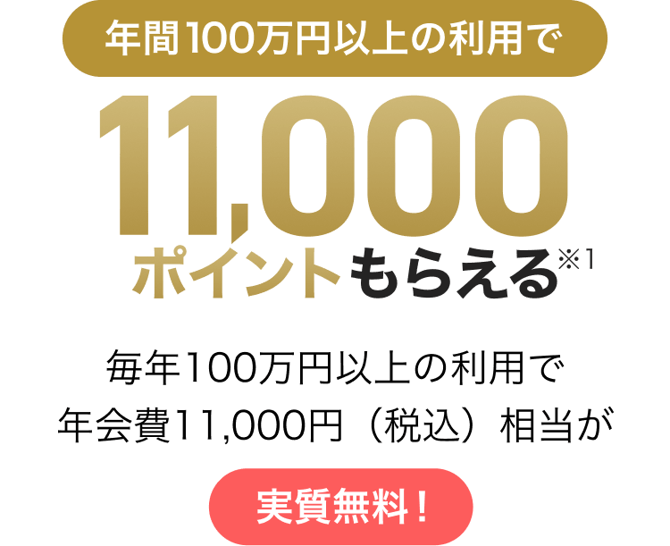 年間100万円以上の利用で11,000ポイントもらえる※1　毎年100万円以上の利用で年会費11,000円（税込）相当が実質無料！