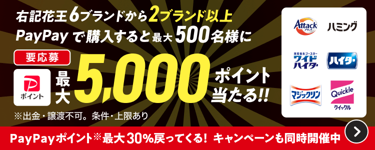 右記花王6ブランドから2ブランド以上PayPayで購入すると最大500名様に最大5,000ポイント当たる！！ 要応募 ※出金・譲渡不可。条件、上限あり。PayPayポイント※最大30％戻ってくる！キャンペーンも同時開催中