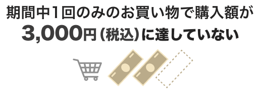 期間中1回のみのお買い物で購入額が3,000円(税込)に達していない