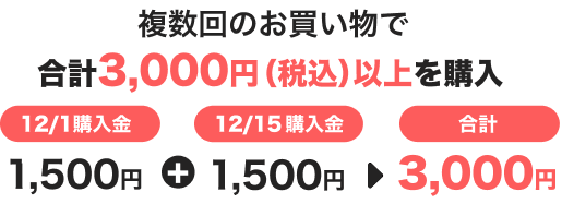 複数回のお買い物で合計3,000円（税込）以上を購入 12/1購入金額1,500円＋12/15購入金額1,500円 合計3,000円