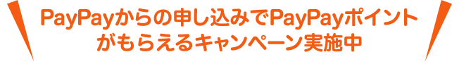PayPayからの申し込みでPayPayポイントがもらえるキャンペーン実施中
