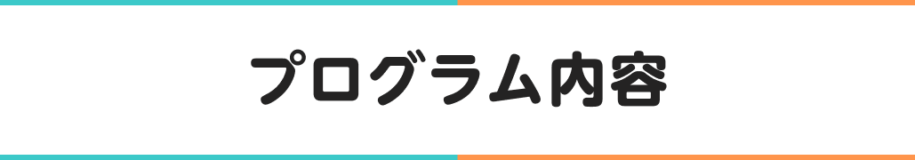 プログラム内容