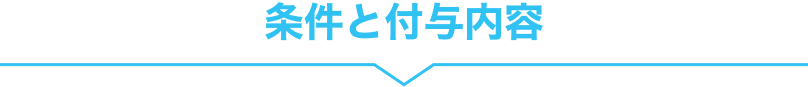 条件と付与内容