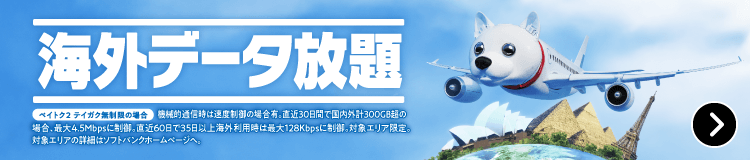 海外データ放題