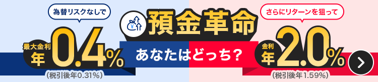預金革命あなたはどっち？為替リスクなしで最大金利年0.4％（税引後年0.31％）｜さらにリターンを狙って金利年2.0％（税引後年1.59％）